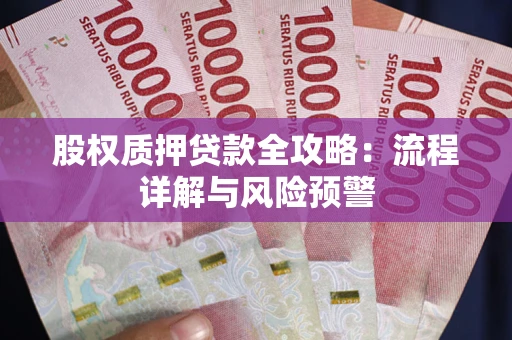 武汉股权质押贷款全攻略：流程详解与风险预警