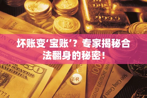 武汉坏账变‘宝账’？专家揭秘合法翻身的秘密！
