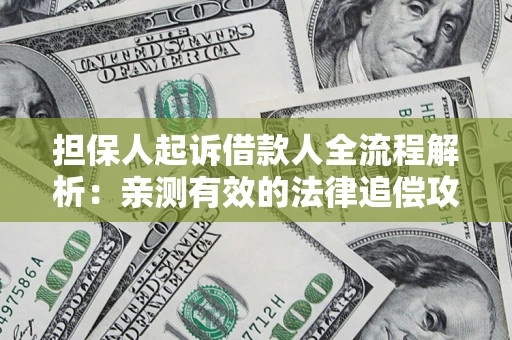 武汉担保人起诉借款人全流程解析：亲测有效的法律追偿攻略