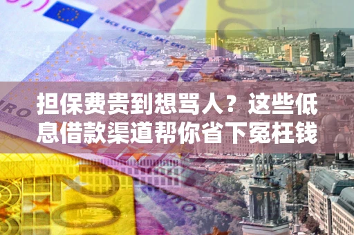 武汉担保费贵到想骂人？这些低息借款渠道帮你省下冤枉钱