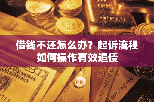 武汉借钱不还怎么办？起诉流程如何操作有效追债