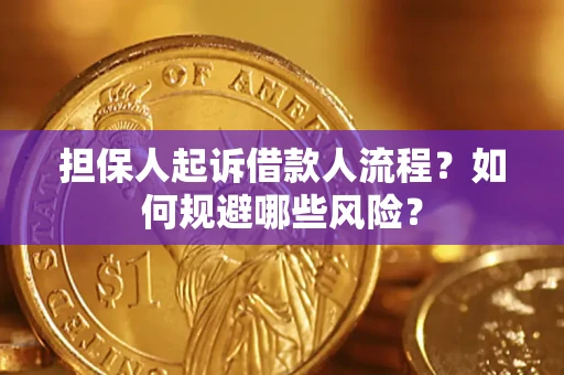 武汉担保人起诉借款人流程？如何规避哪些风险？