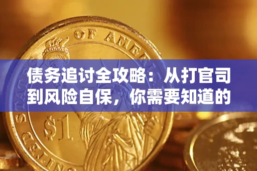 武汉债务追讨全攻略：从打官司到风险自保，你需要知道的法律智慧