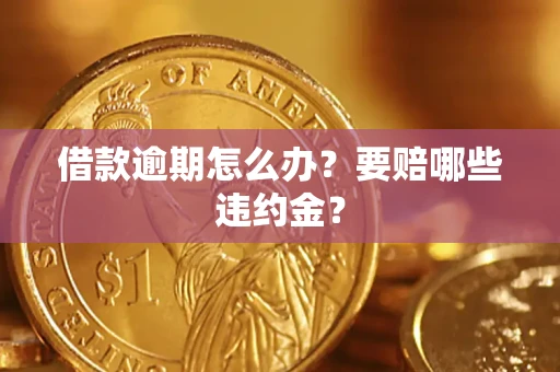 武汉借款逾期怎么办？要赔哪些违约金？