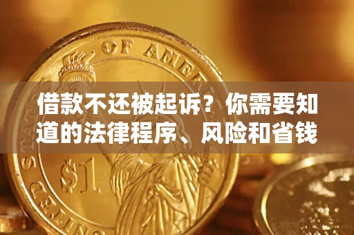 武汉借款不还被起诉？你需要知道的法律程序、风险和省钱技巧